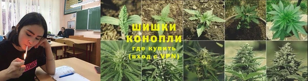 прущая мука Няндома